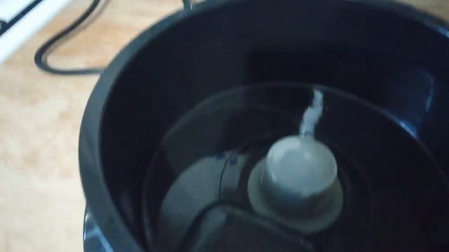 ‼️Я в ужасе?совсем страх потерял смотреть онлайн