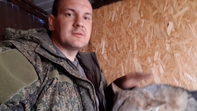 В Линде проснулась волчья кровь. Защищает щенков как волчица смотреть онлайн