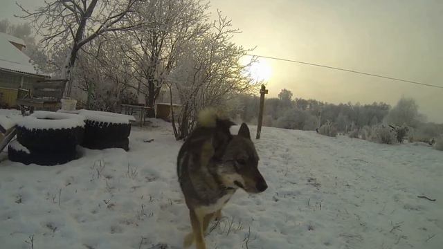 GOPRO Лайка
