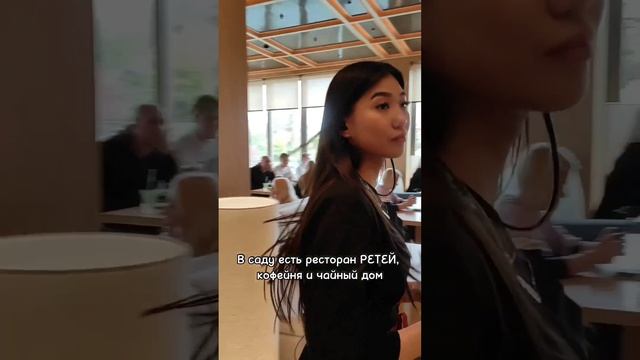 Посуточная аренда с видом на парк им.Галицкого