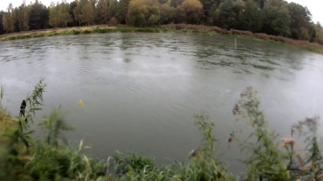 Мой первый джиговый комплект | Narval Argument 76MMH