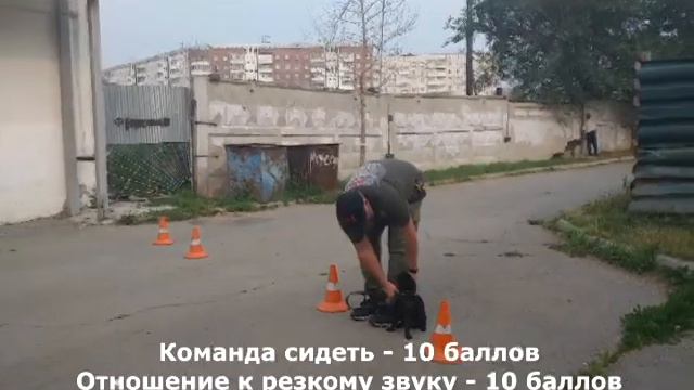 Хани УГС смотреть онлайн