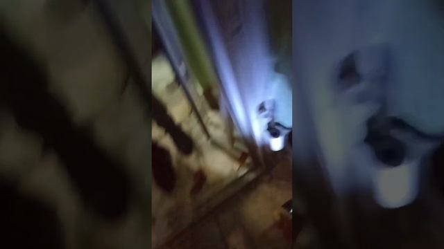 Думали только посмотреть, в итоге отремонтировали ПВХ входную дверь. Без регулировки петлями, а как смотреть онлайн