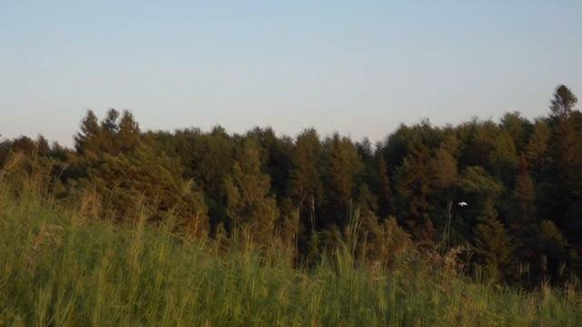 Ну, где же солнце?! / Таня Раш. Читает Мария Ронжина. смотреть онлайн