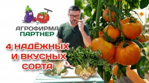 4 надёжных и вкусных сорта