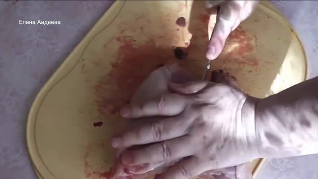 Как Разделать КУРИЦУ смотреть онлайн
