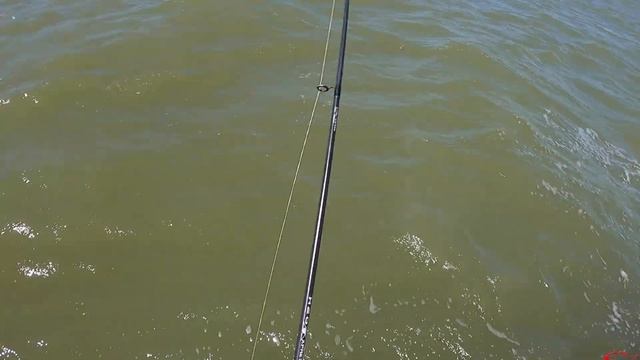 Secret Weapon | Inshore Fishing Galveston Texas смотреть онлайн