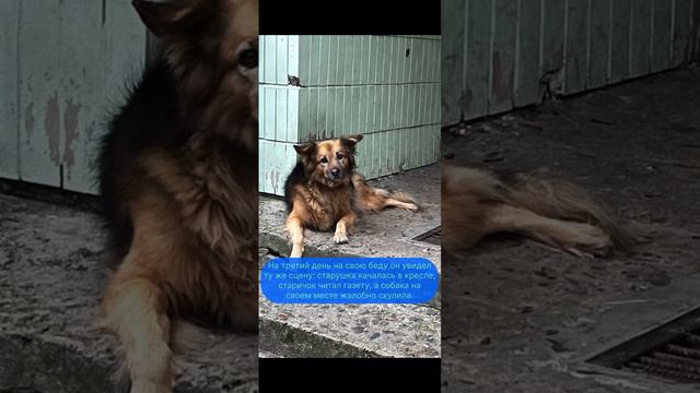 Мудрая притча о проблемах ✨ смотреть онлайн