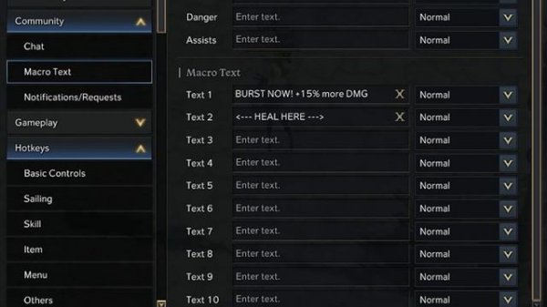 Skill Macros for Improved Group Play - Lost Ark