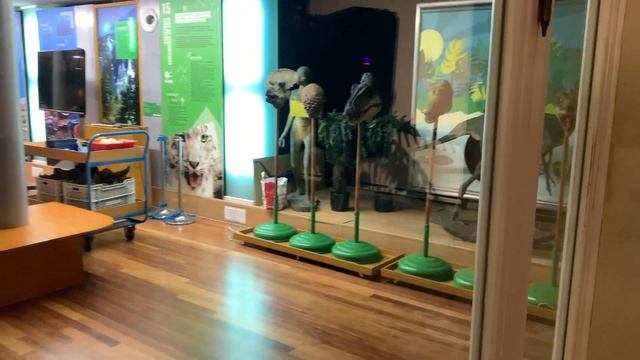 Как пойти бесплатно в Национальный музей Испании? смотреть онлайн