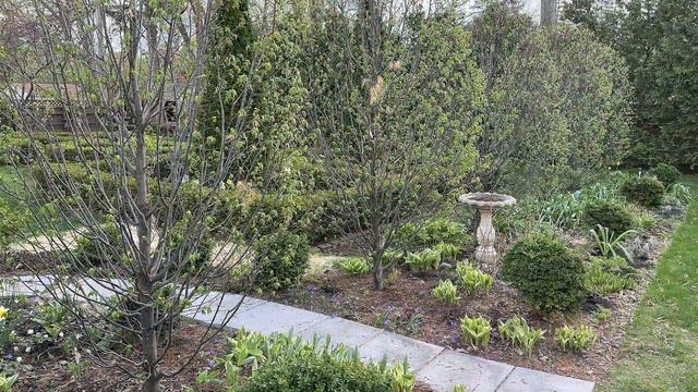 Early May Garden Tour - I'd Love Your Suggestion on How To Fix This Problem смотреть онлайн