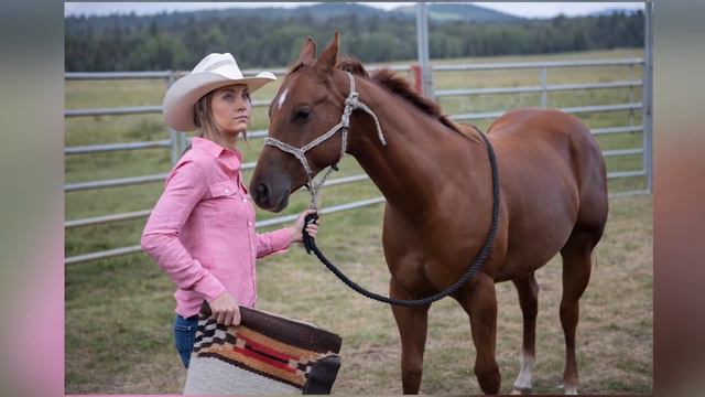 Watch Heartland Season 17 Streaming Online