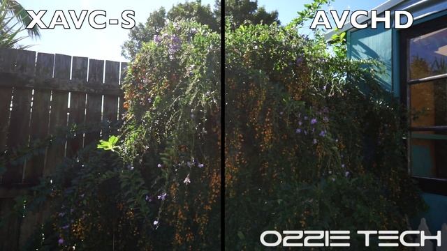 Sony a6000 XAVC-S vs AVCHD Side by Side смотреть онлайн
