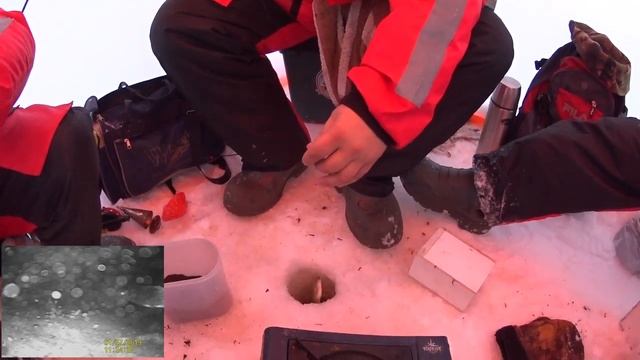 ЛОВЛЯ ПЛОТВЫ ЗИМОЙ / ПОДВОДНЫЕ СЪЕМКИ смотреть онлайн