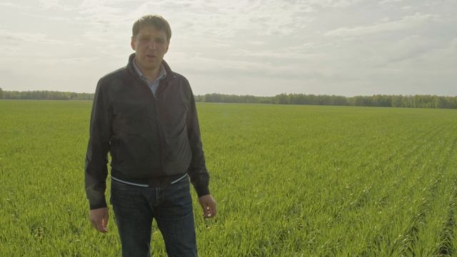 Оцениваем состояние озимых весной 2023 года