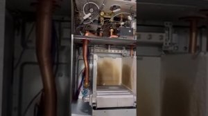 Замена жиклер форсунок двухконтурного газового котла РосТерм Ремонт газовых котлов Бытовой техники