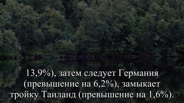 Зимние каникулы куда лучше не ездить — Статья смотреть онлайн