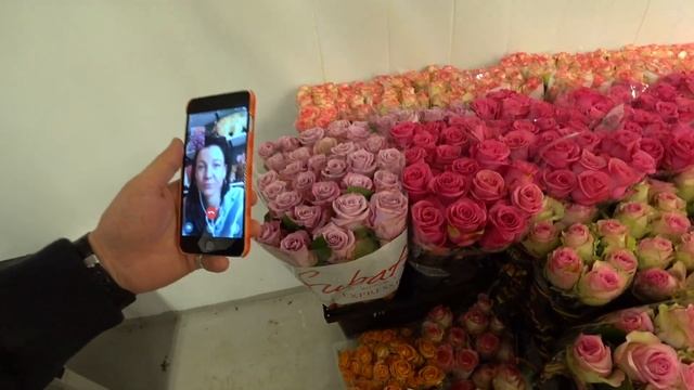 Подбор цветов по WhatsApp смотреть онлайн