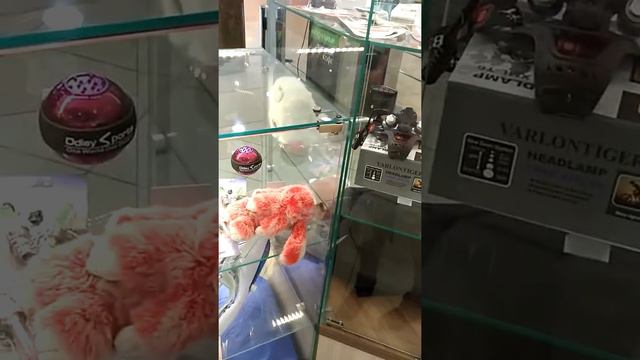 Ура! Ура! Прошло открытие магазина ! Ждем всех г. Ижевск ТРК Столица смотреть онлайн