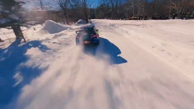 When the Free Bird kicks in--Subaru смотреть онлайн