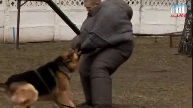 День внутренних войск смотреть онлайн