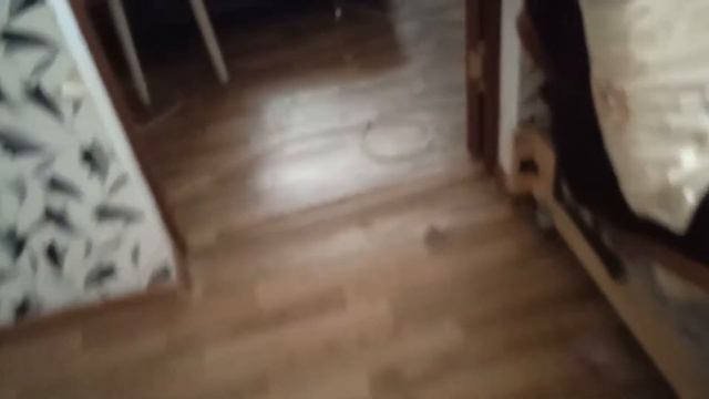 Альбина показывает палитру и как она собирает /ланч бокс в школу смотреть онлайн