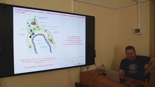 Физиология (семинар), Гайдуков А. Е., 24.03.2022г. смотреть онлайн