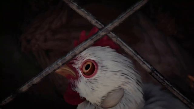 Fable 3 Chicken/Game Intro смотреть онлайн