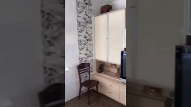 Обзор дома в Днепре за 621$ смотреть онлайн