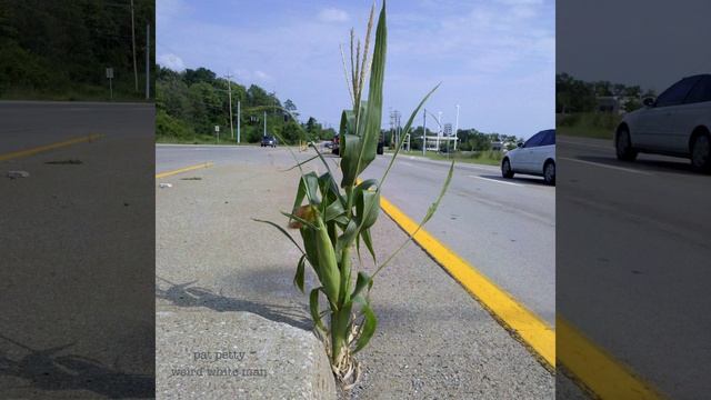 Chaotic Void смотреть онлайн