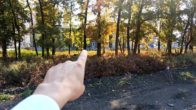 Сколько стоит метр? смотреть онлайн