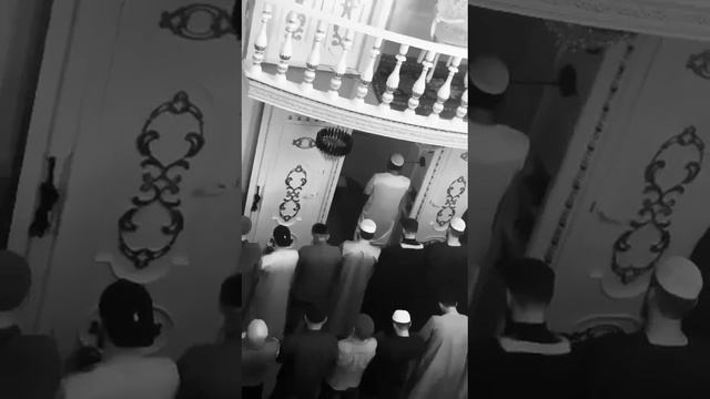 Ахмад абу Мухаммад #коран #quran смотреть онлайн