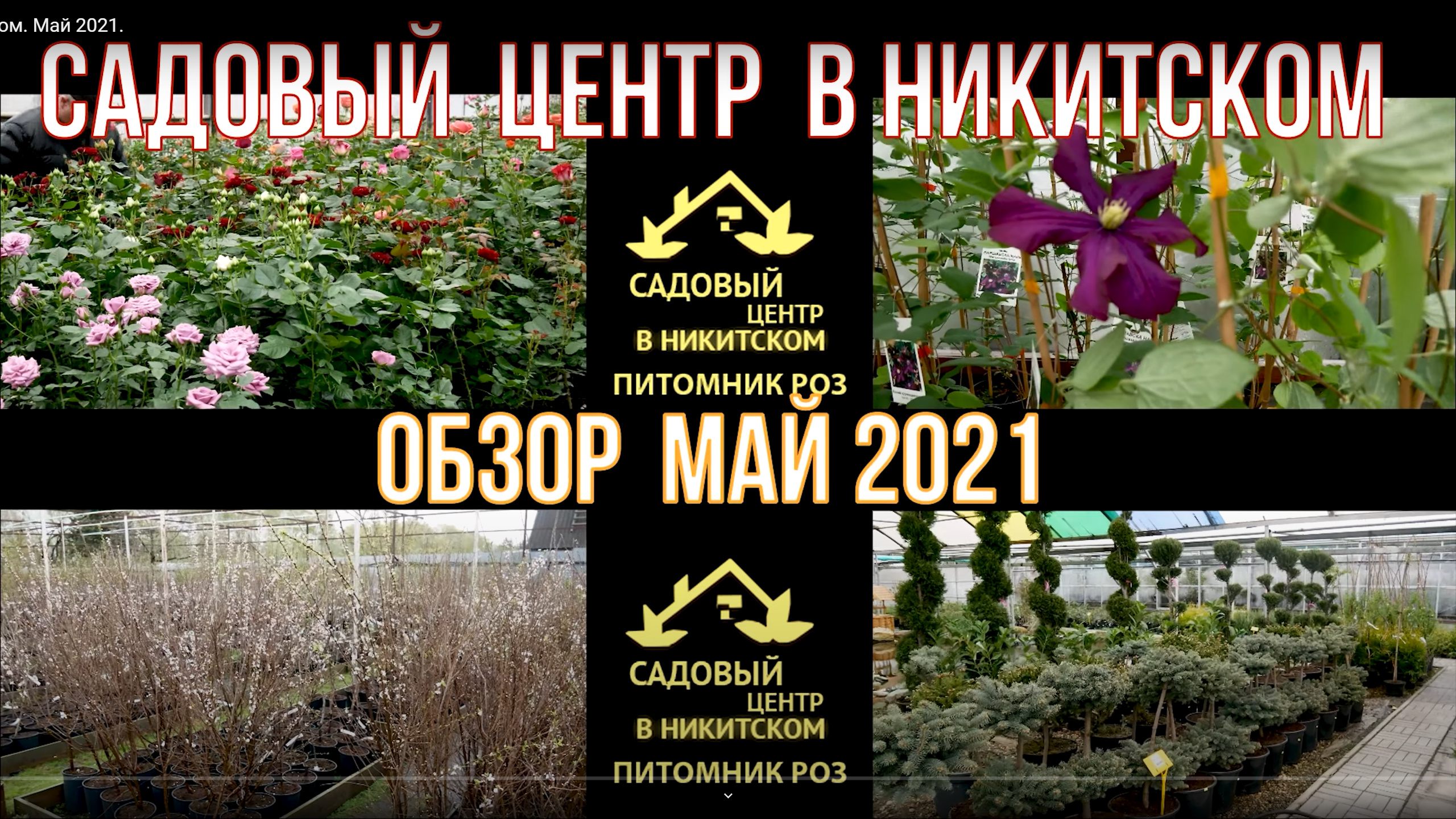 Садовый центр в Никитском Май 2021 смотреть онлайн