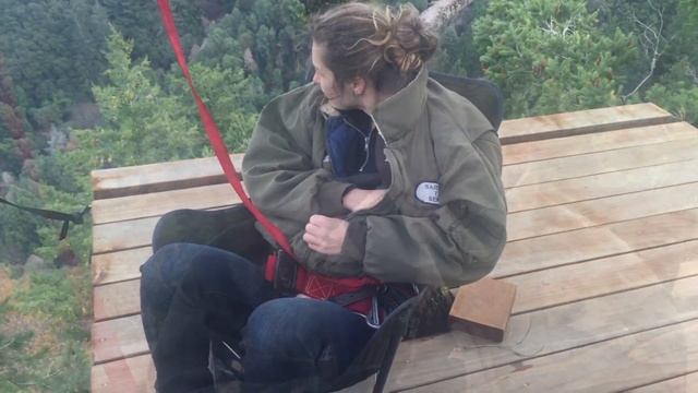 WHY Build the Tree Platform ? смотреть онлайн