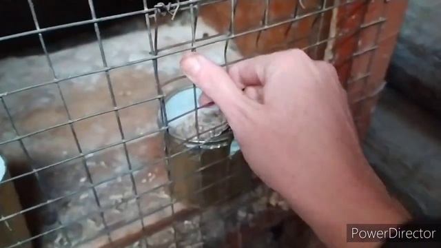 клетка для окрола ОСОБЕННАЯ?кормушка и поилка для кроликов?kroliki Zhivotnovodstvo