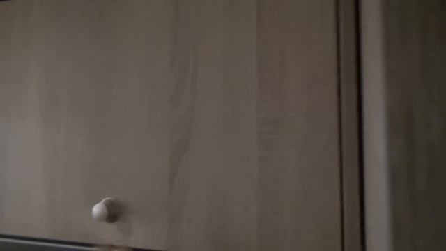 Clever Vans Vario Campervan Review