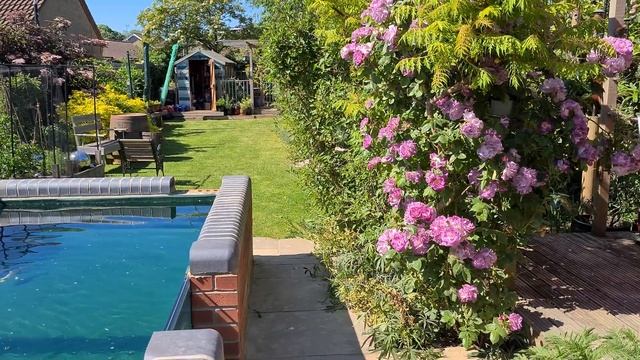 DIY Protein Skimmer And A KH Disaster. смотреть онлайн