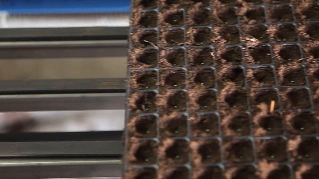 Рассадный комплекс РОСТОК смотреть онлайн