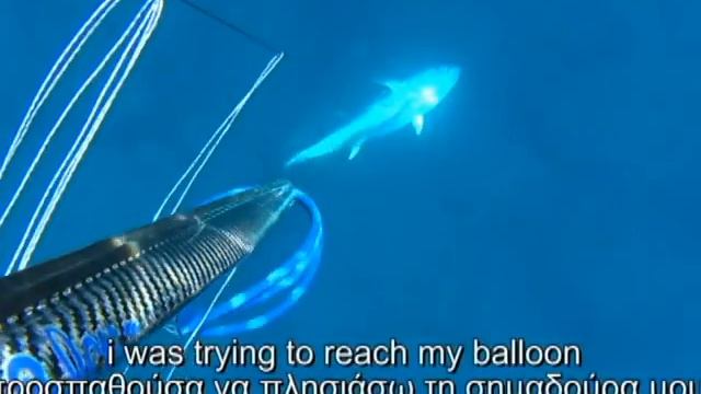 Подводная Охота на средиземном море (Тунец на 65 кг) смотреть онлайн