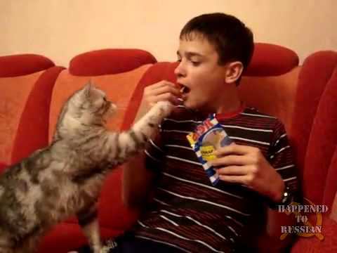 Поделись со мной! смотреть онлайн