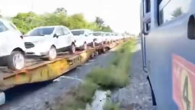 Ford Ecosport 2022 смотреть онлайн