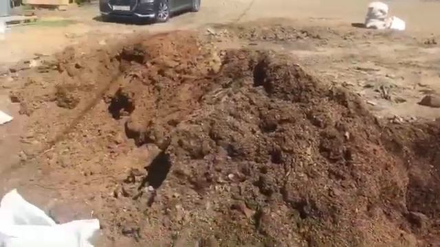 Фасовка навоза конского в мешки смотреть онлайн