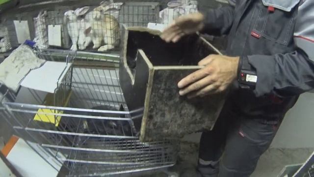 Вакцинация смотреть онлайн