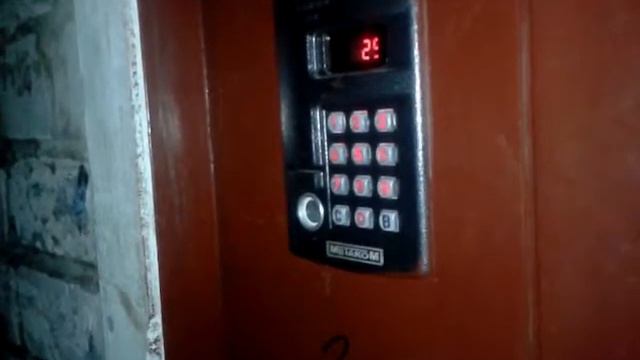 Гуляем вечерком [Вонок и Никитка] смотреть онлайн