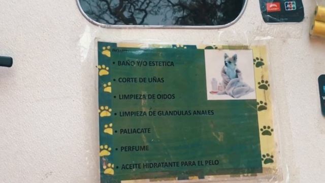 Мехико и Мексика// Лайфхаки// Интервью с русскими блогерами// Mexico Entrevista Con Tres Rusas