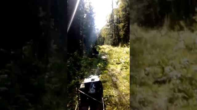 мото-собака. техника класс!!! смотреть онлайн