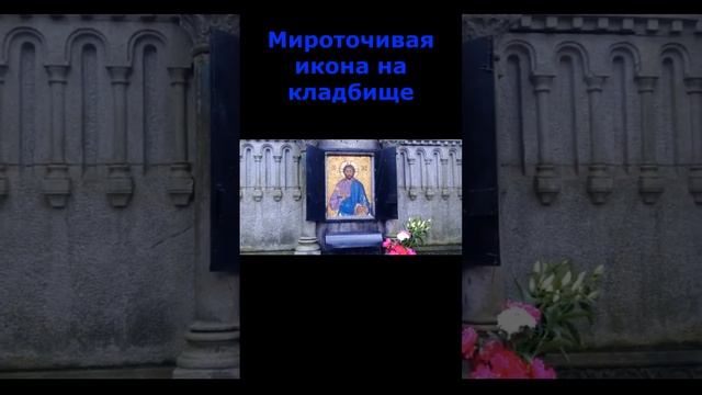 Мироточивая икона на кладбище #shorts #православие #христианство смотреть онлайн