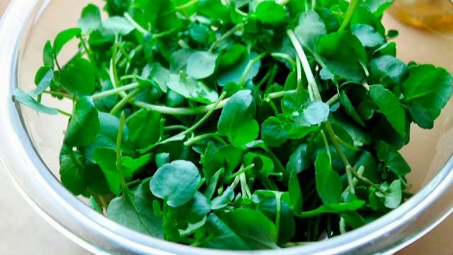 Дикорастущие растения в нашем питании. Жеруха. смотреть онлайн