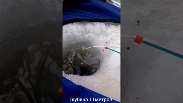 Ловля леща зимой на донную снасть. смотреть онлайн