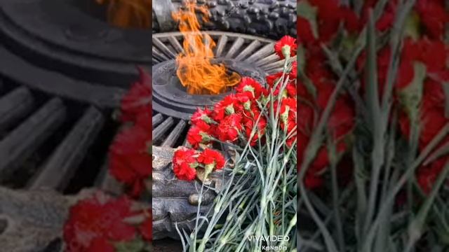Простите.........mp4 смотреть онлайн